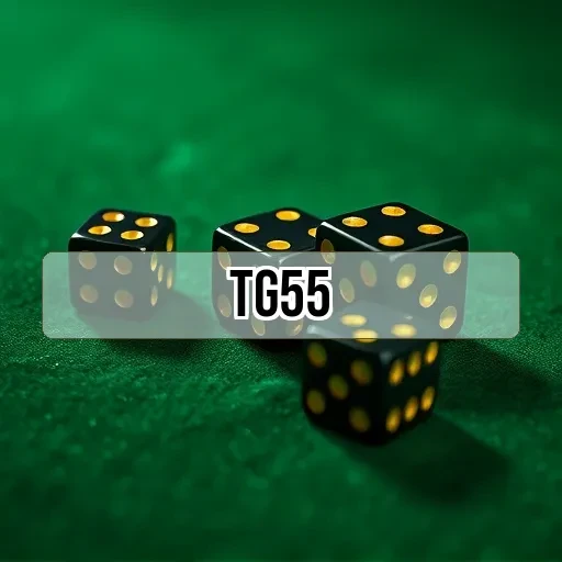 tg55.com Pôquer